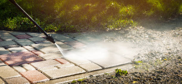 Best Driveway Pressure Washing  in Mclendon Chisholm, TX