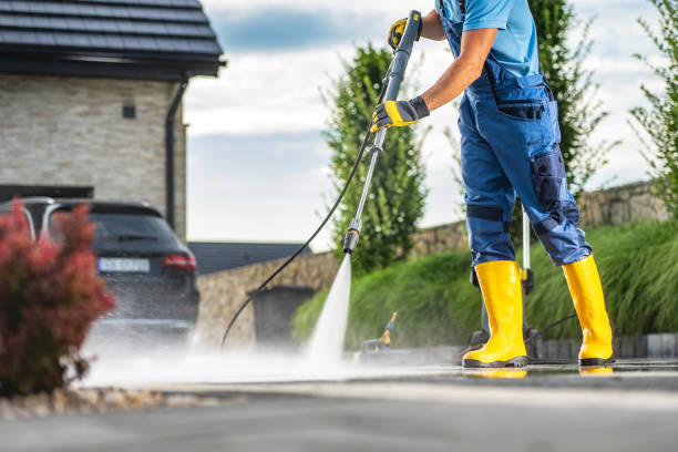 Best Roof Washing  in Mclendon Chisholm, TX